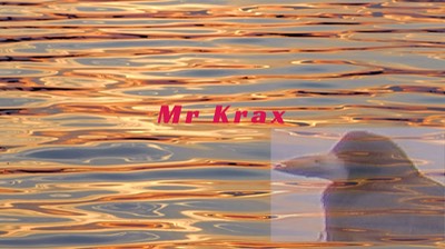 Mr Krax, Youtube